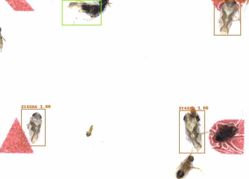 Fullscreen Image