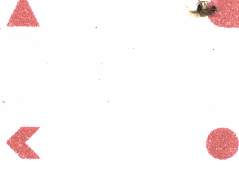 Fullscreen Image