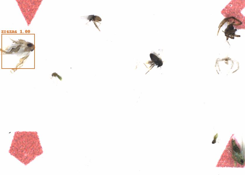 Fullscreen Image