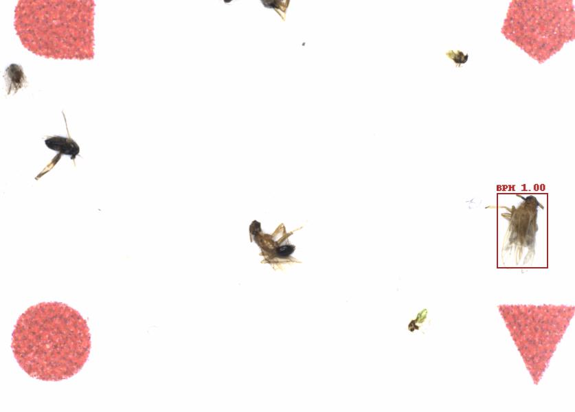 Fullscreen Image