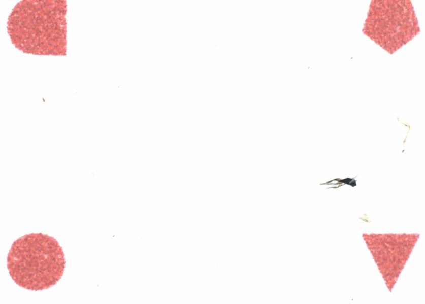 Fullscreen Image