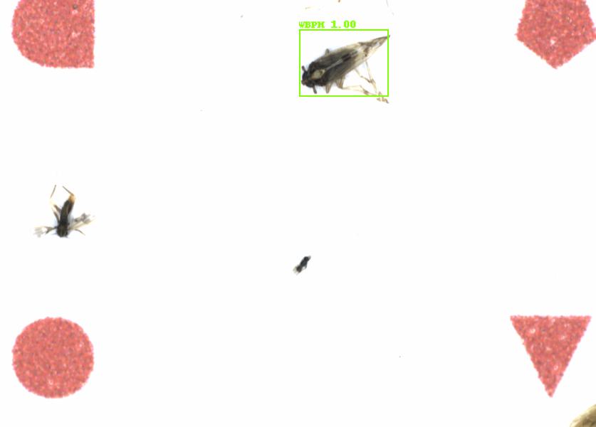Fullscreen Image