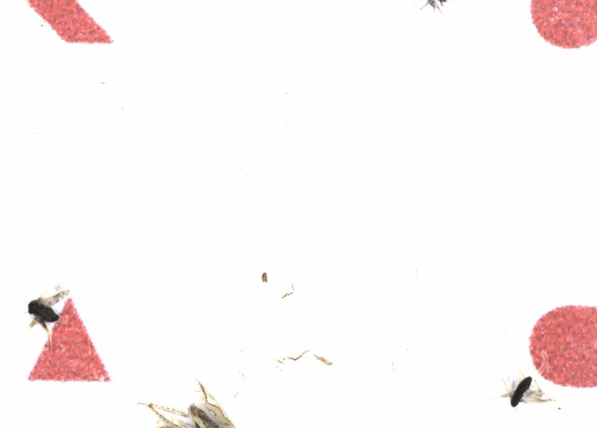Fullscreen Image