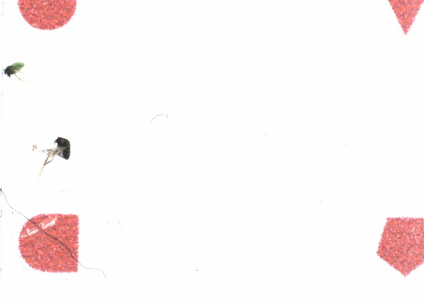 Fullscreen Image