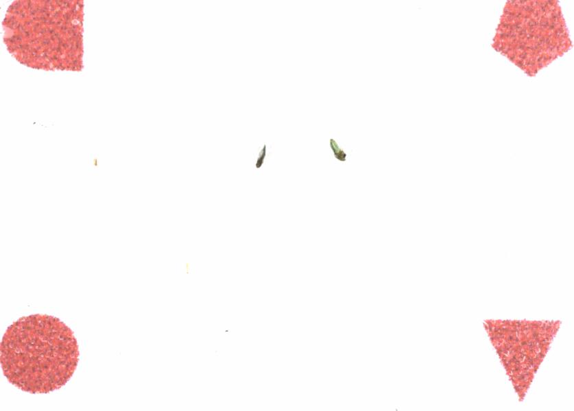 Fullscreen Image