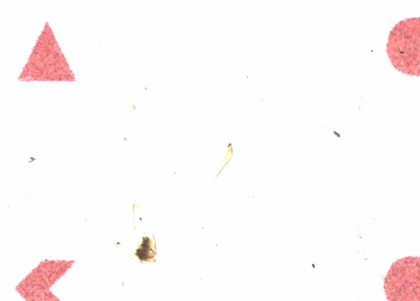 Fullscreen Image