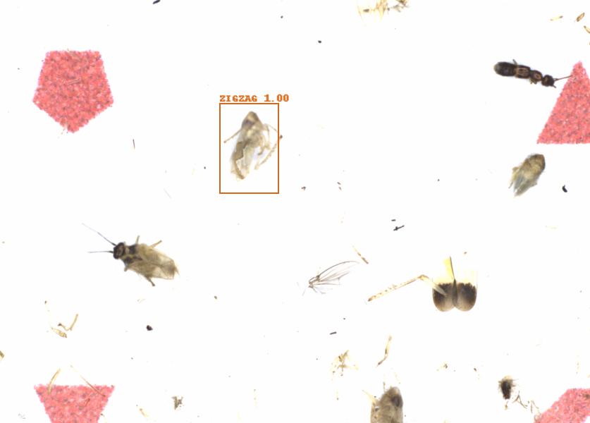 Fullscreen Image