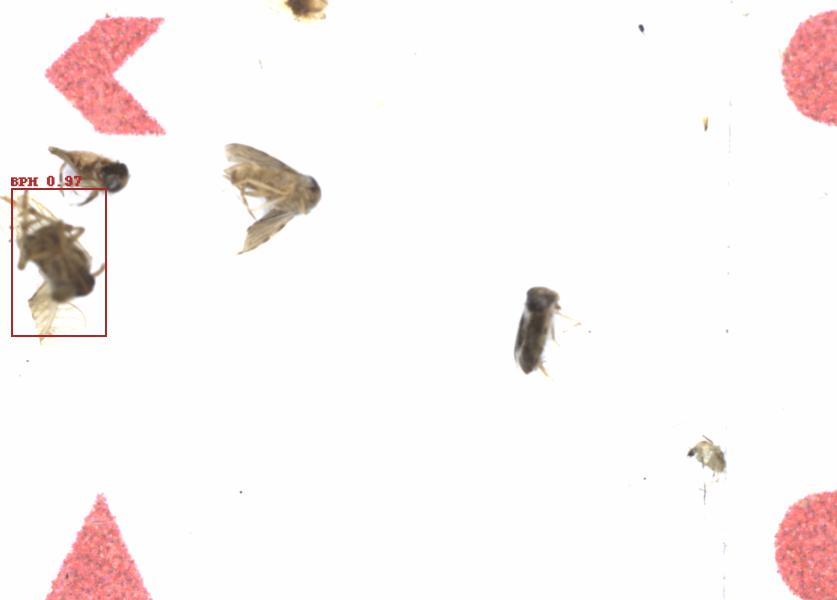 Fullscreen Image