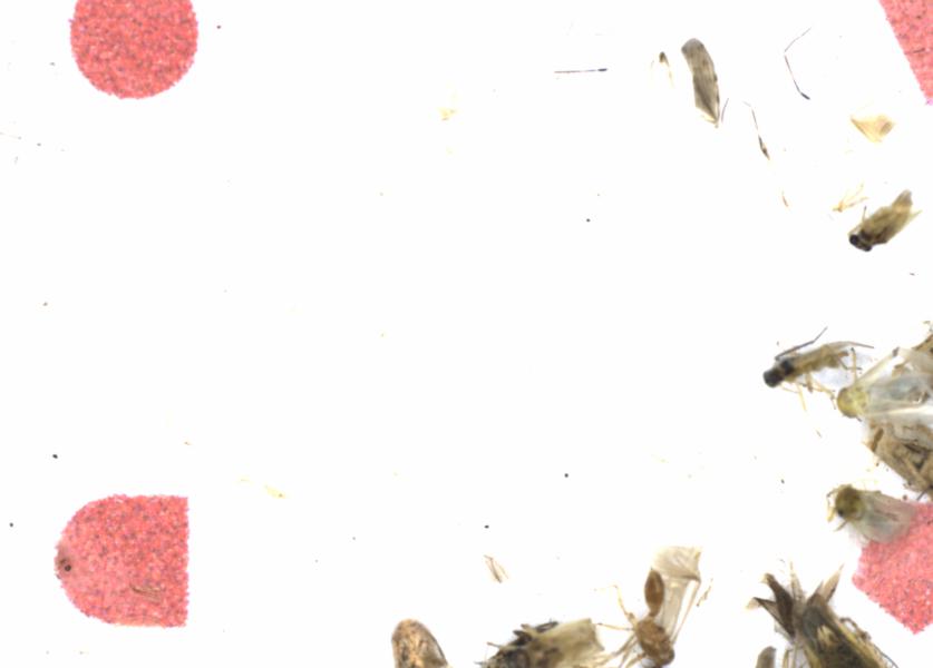 Fullscreen Image