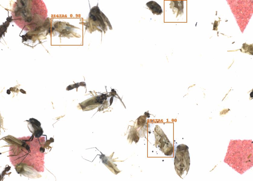 Fullscreen Image