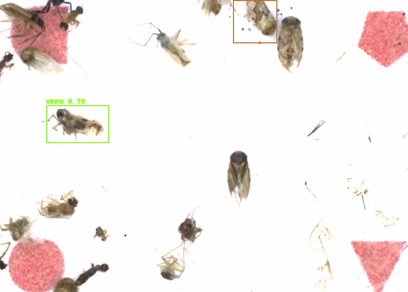 Fullscreen Image