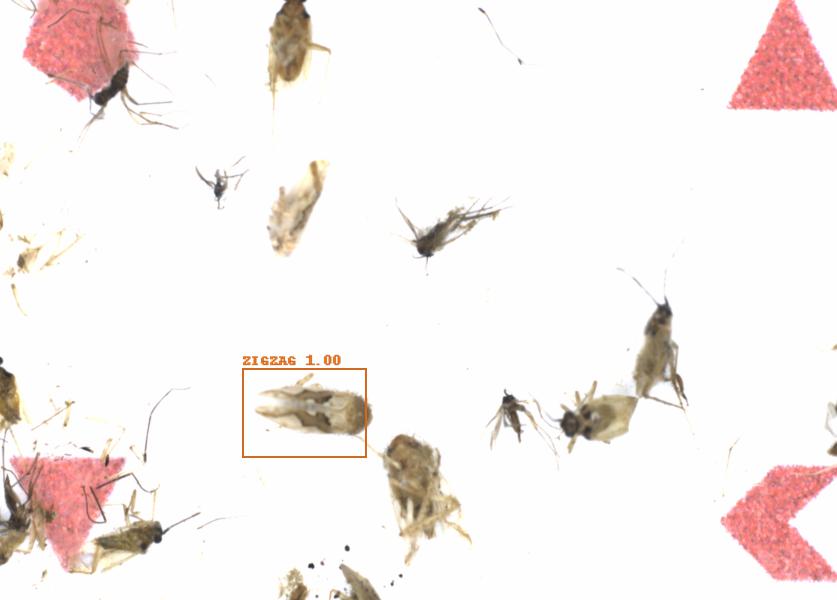 Fullscreen Image