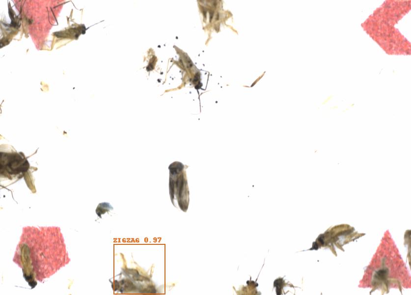 Fullscreen Image