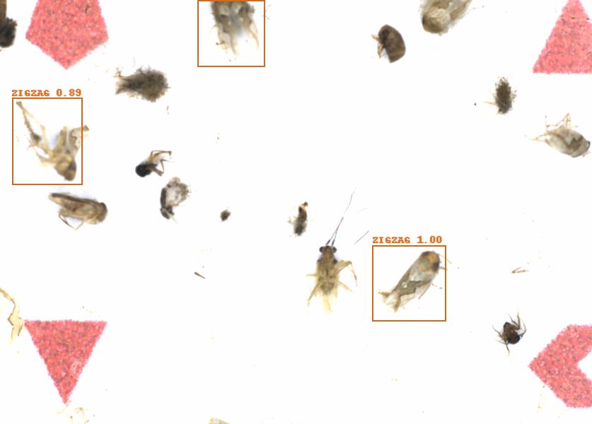 Fullscreen Image