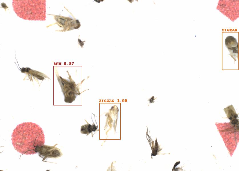 Fullscreen Image