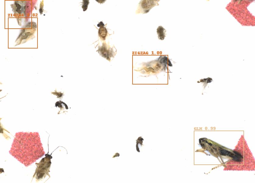Fullscreen Image