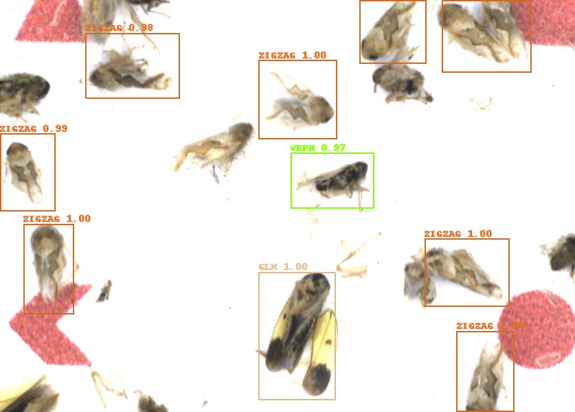 Fullscreen Image
