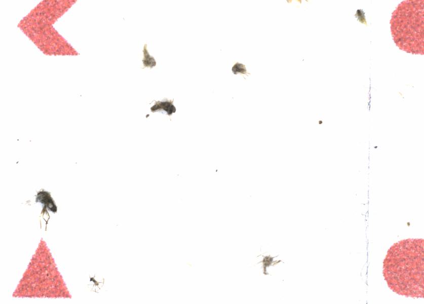 Fullscreen Image
