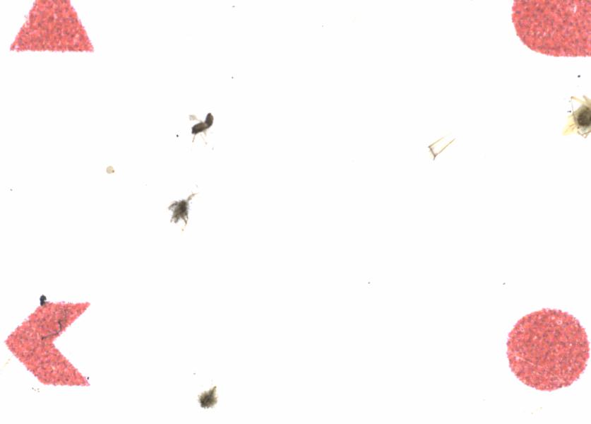 Fullscreen Image