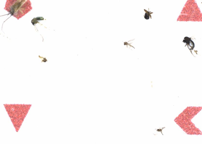 Fullscreen Image