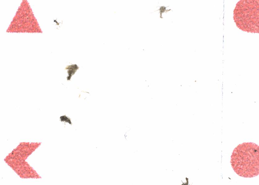 Fullscreen Image