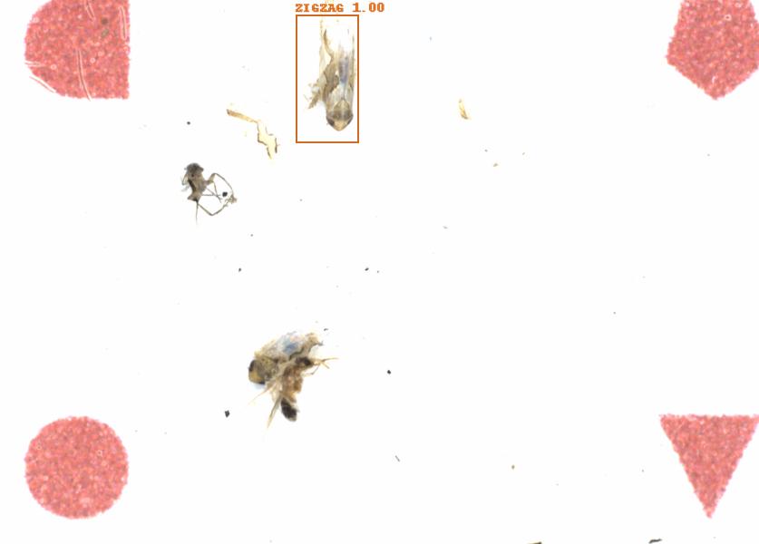 Fullscreen Image
