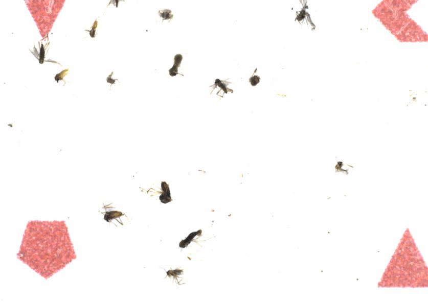 Fullscreen Image