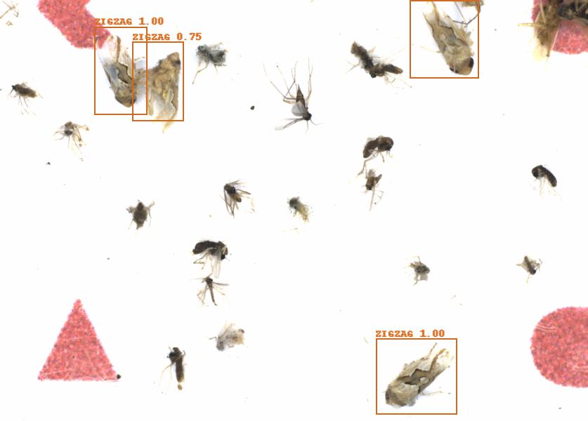 Fullscreen Image