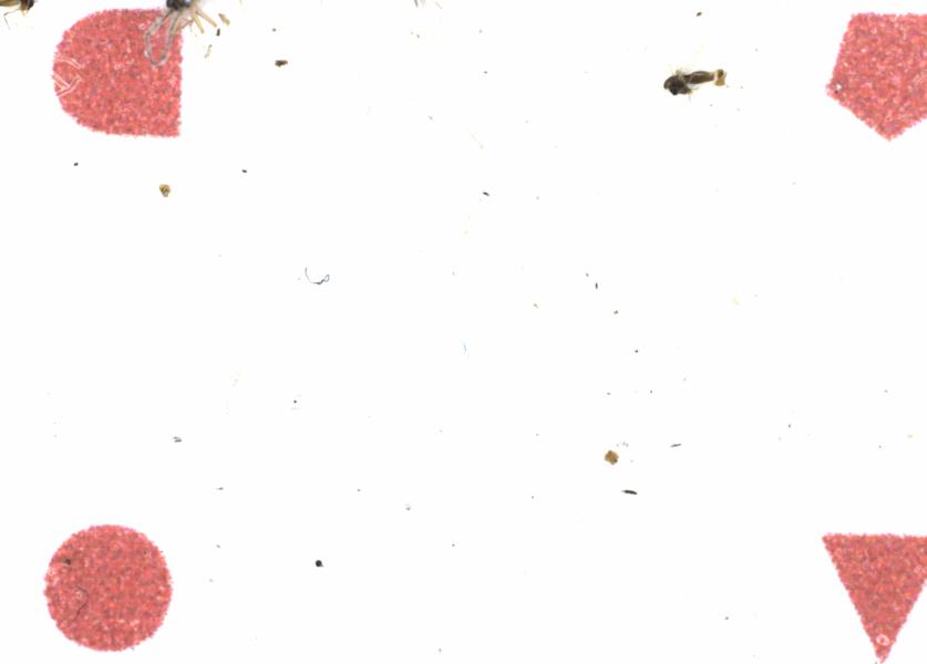 Fullscreen Image