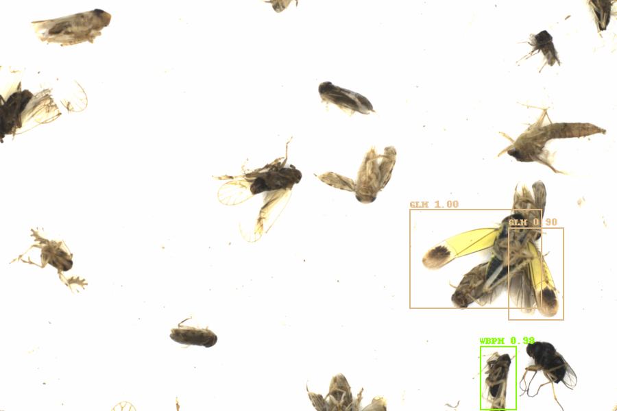Fullscreen Image