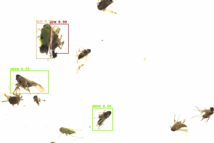 Fullscreen Image