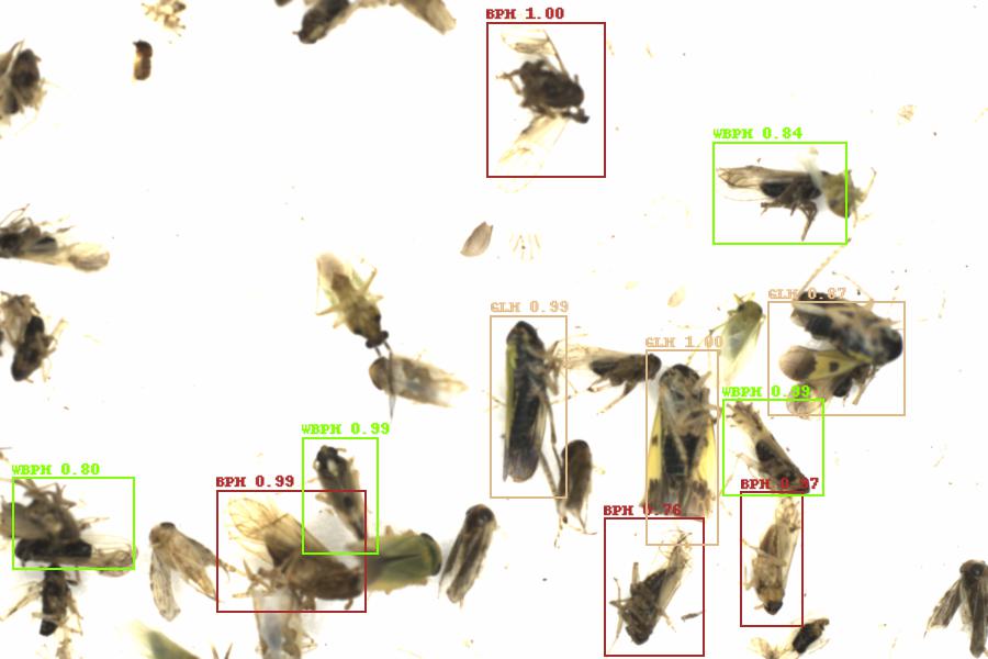 Fullscreen Image