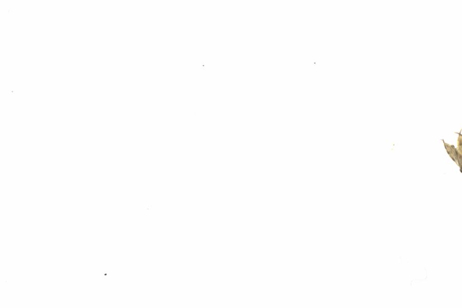 Fullscreen Image