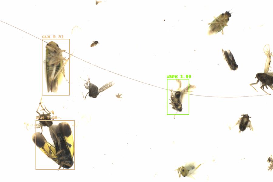 Fullscreen Image