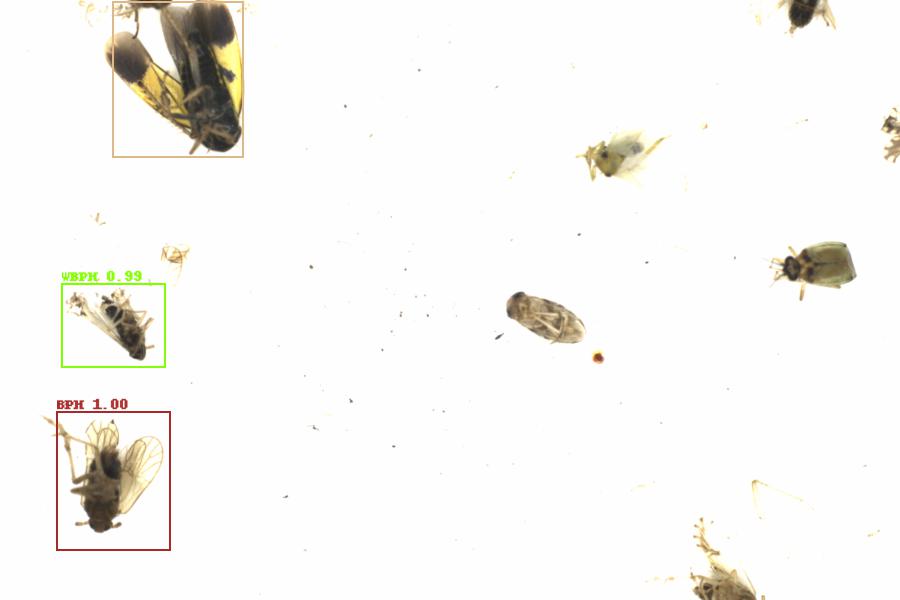 Fullscreen Image