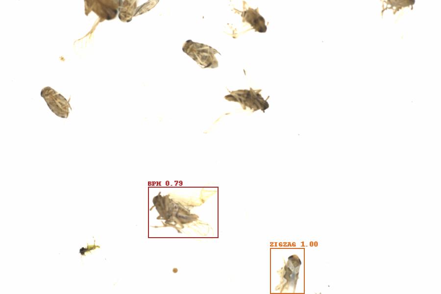 Fullscreen Image