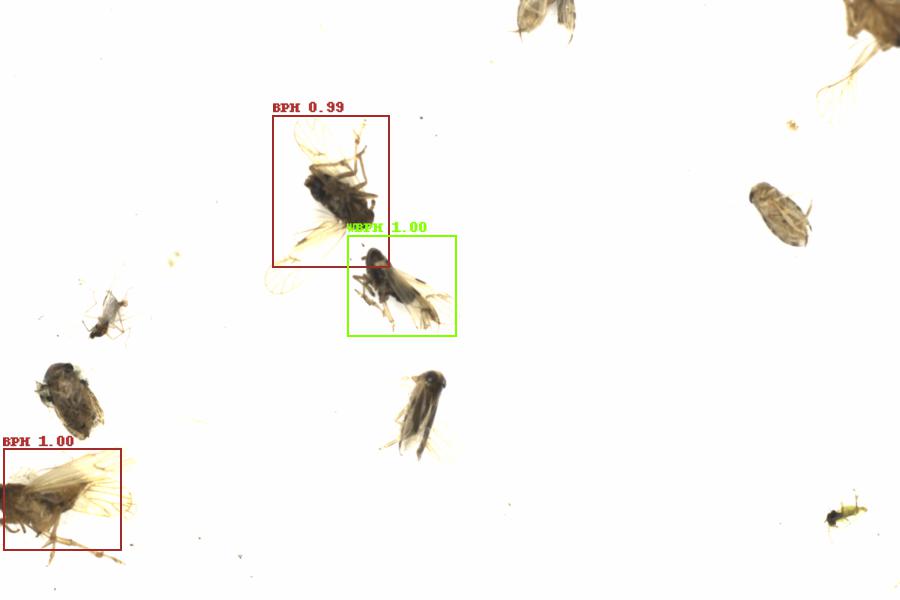 Fullscreen Image