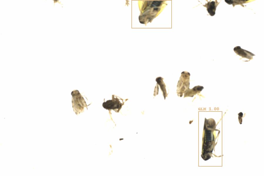 Fullscreen Image