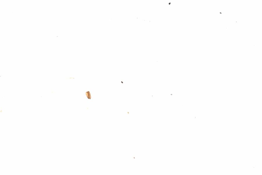 Fullscreen Image