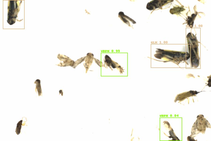 Fullscreen Image