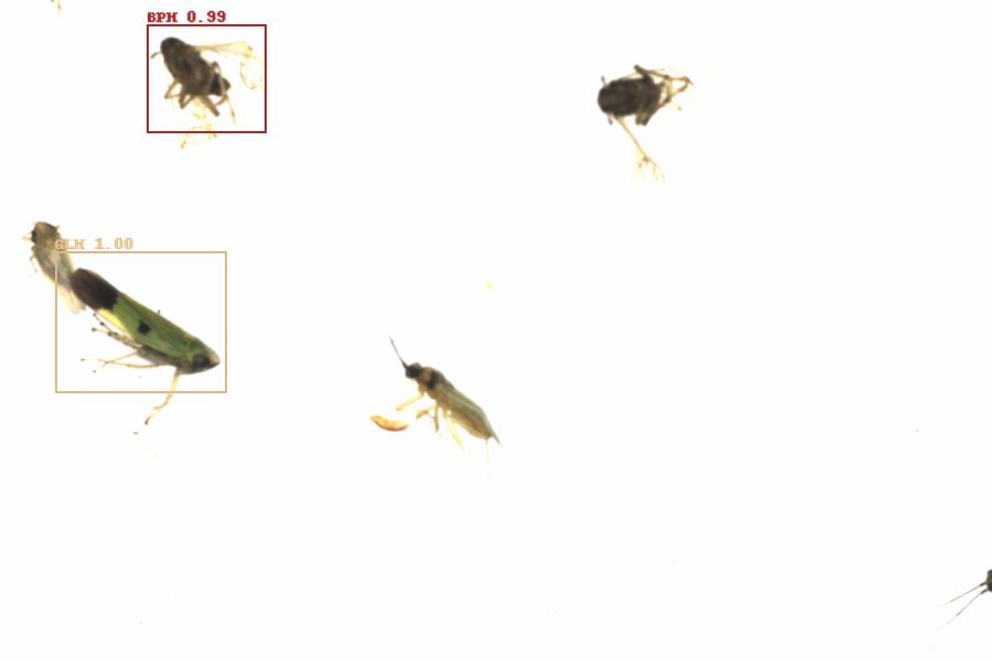 Fullscreen Image