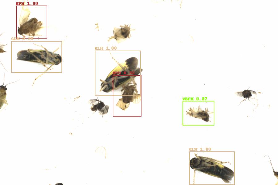 Fullscreen Image