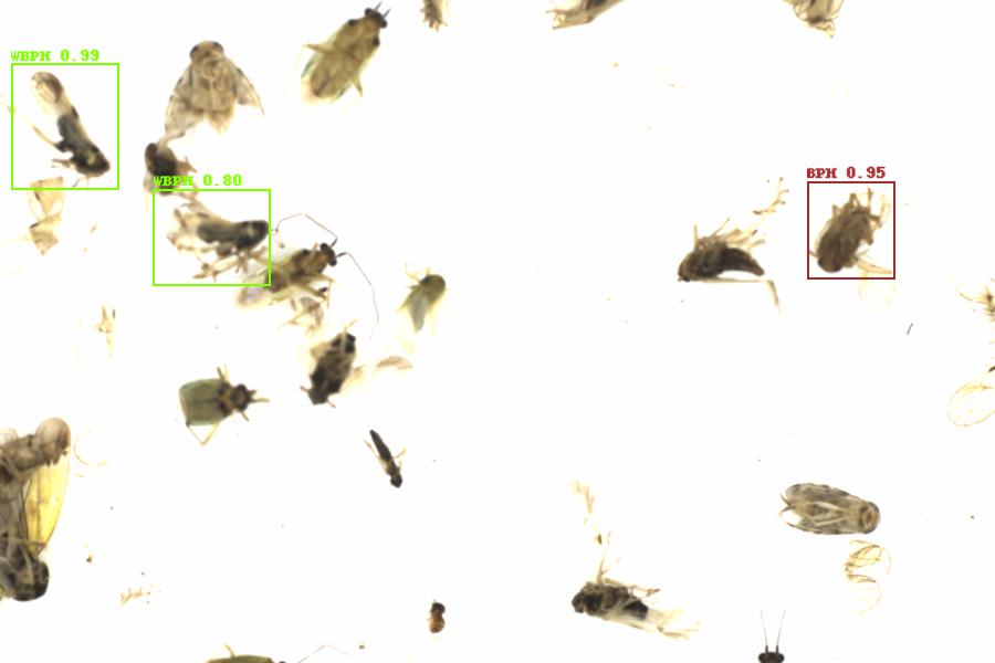 Fullscreen Image