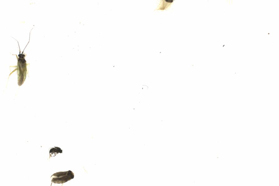 Fullscreen Image