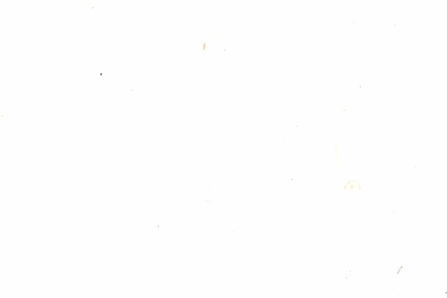 Fullscreen Image