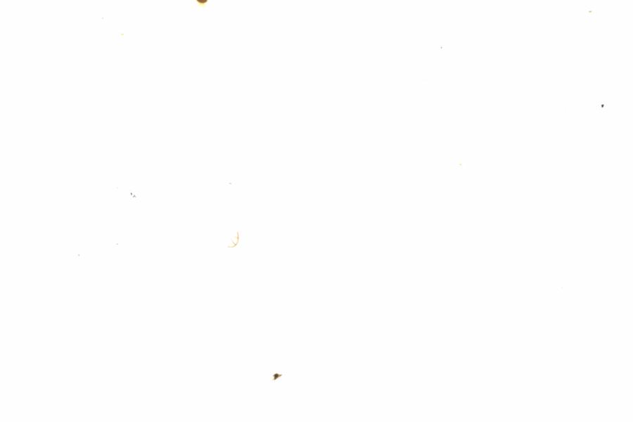 Fullscreen Image