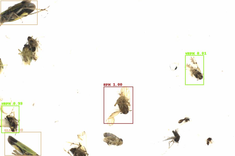 Fullscreen Image