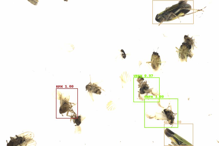 Fullscreen Image