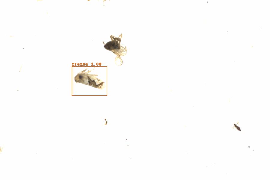 Fullscreen Image