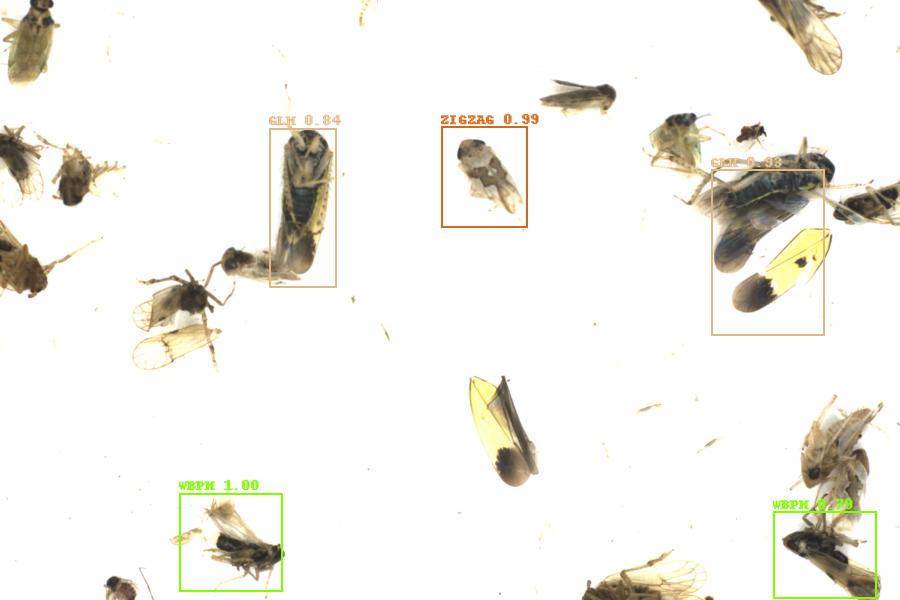 Fullscreen Image